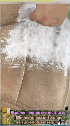 APROVECHA LA OFERTA 2X1!!! FOAM CLEANER - ESPUMA LIMPIA TODO